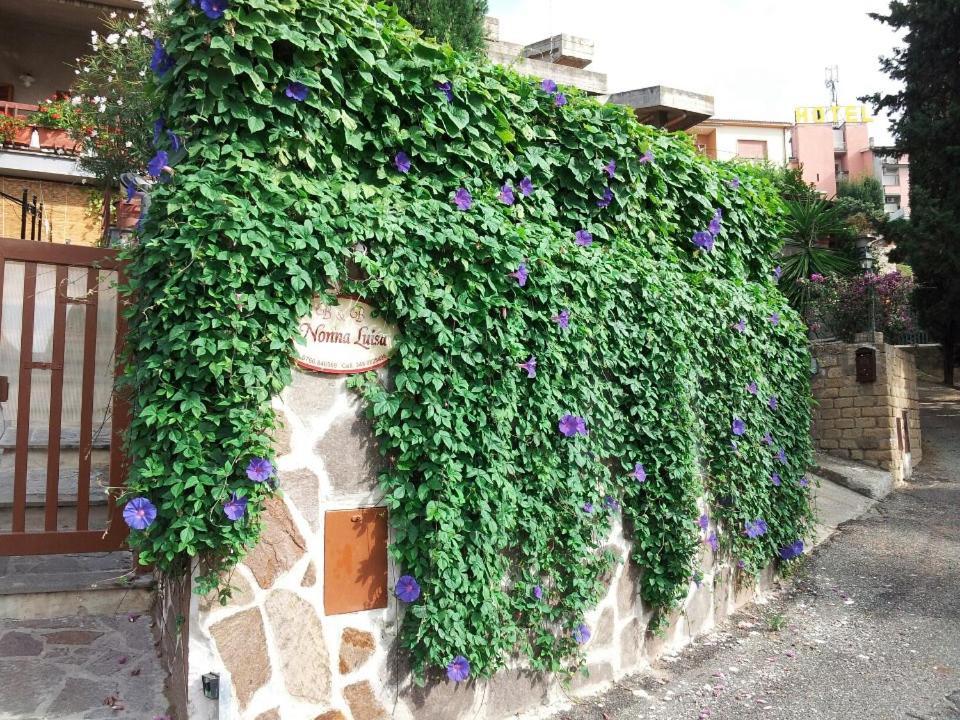 Bed & Breakfast Nonna Luisa Tarquinia
